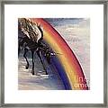 Playing With Rainbow Framed Print