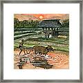 Plowing The Ricefield Framed Print