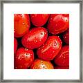 Plum Tomatoes Framed Print