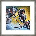 Pods Framed Print