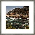 Point Lobos Framed Print