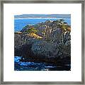 Point Lobos Number 9 Framed Print