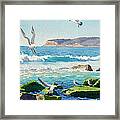 Point Loma Rocks Waves And Seagulls Framed Print