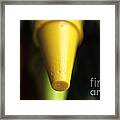 Pointedly Yellow Framed Print