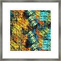 Pollux Framed Print