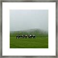 Polo In The Clouds Framed Print