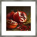Pomegranates 2014 Framed Print