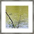 Pond At Norfolk Botanical Garden 8 Framed Print