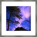 Ponderosa And Thumb Butte Framed Print