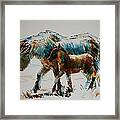 Pony And Foal Framed Print