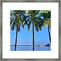 Pool Palm Trees Framed Print