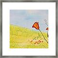 Poppies In A Field Framed Print