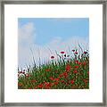 Poppies In A French Landscape Framed Print