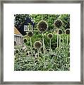 Poppies In August Framed Print