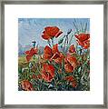 Poppies Meadow Framed Print