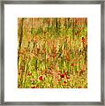 Poppies Of Tuscany Framed Print