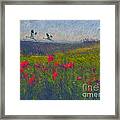 Poppies Of Tuscany Framed Print