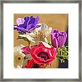 Poppies Framed Print