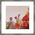 Poppies Framed Print