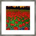 Poppy Carpet Framed Print Poppy Carpet Framed Print