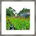 Poppy Field Framed Print