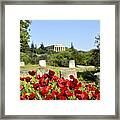 Poppy Flowers In Ancient Market Framed Print