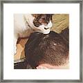 Poppy Grooming Me #tagstagram.com #cat Framed Print