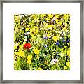 Poppy In Wildflowers Framed Print