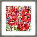Poppys In Bloom  Painting Framed Print