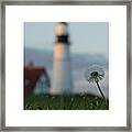 Portland Headlight Framed Print