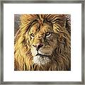 Portrait Of A Lion Framed Print