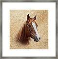 Portrait Of A Mare Print Framed Print