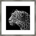 Portrait Of Leopard In Black And White Iii Framed Print