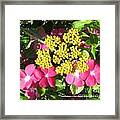 Posies Framed Print