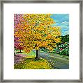 Poui In Diego Framed Print Poui In Diego Framed Print
