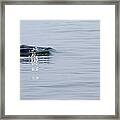 Power In Motion Framed Print