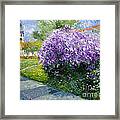 Prague Spring Loreta Lilacs Framed Print