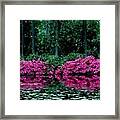 Pretty Flowers On The Lake Side Framed Print