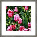 Pretty Pink Framed Print