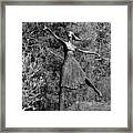 Pride Bw Framed Print