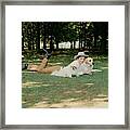 Princess Lee Radziwill With Dogs Framed Print