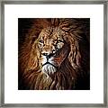 Proud N Powerful Framed Print