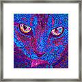 Psychedelic Kitty Framed Print