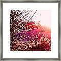 Psychedelic Winter Framed Print