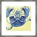 Pug Puppy Pastel Sketch Framed Print