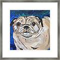 Pugman Framed Print