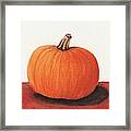 Pumpkin Framed Print