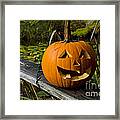 Pumpkin By The Pond Framed Print