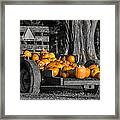 Pumpkin Cart Framed Print