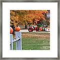 Pumpkin Farm Framed Print